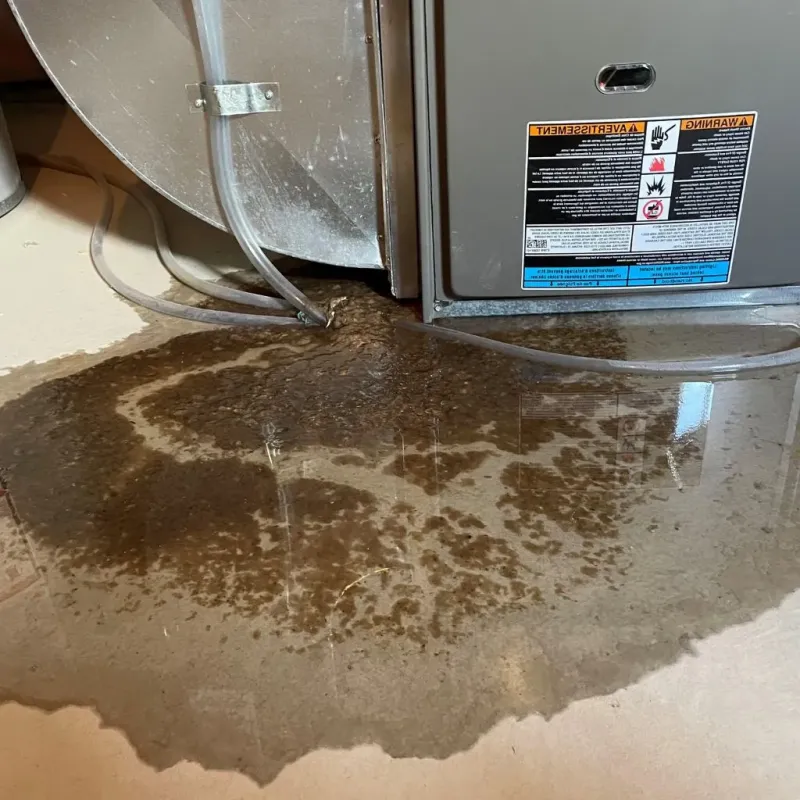 Pipe Burst and Leak Restoration in Warrick County, IN