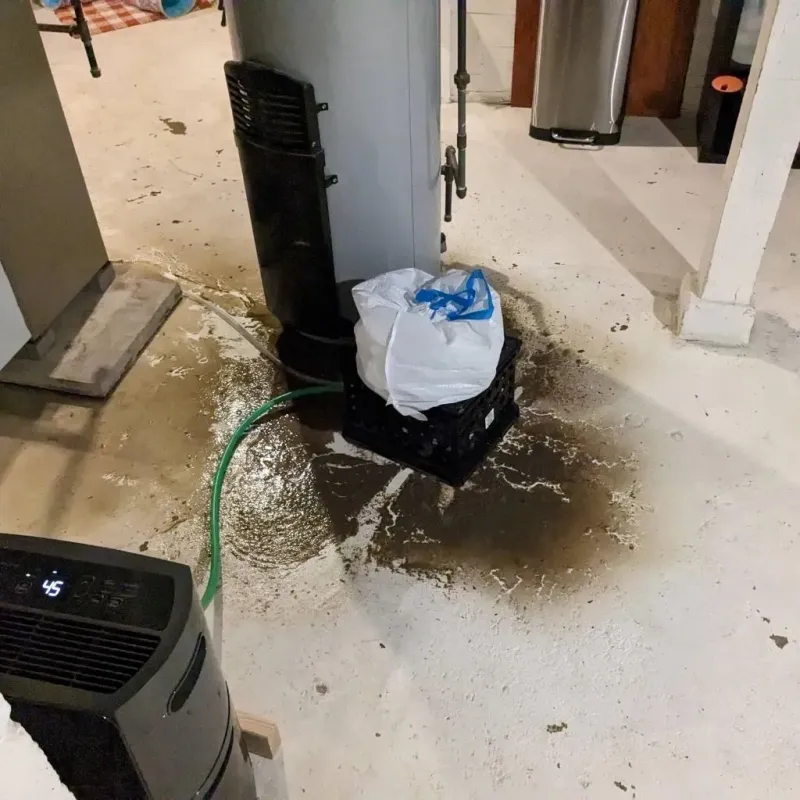 Sewage Backup Cleanup Service in Warrick County, IN